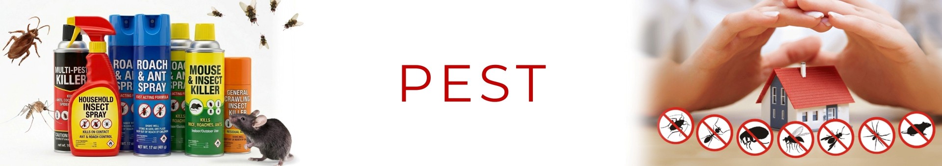 Pest