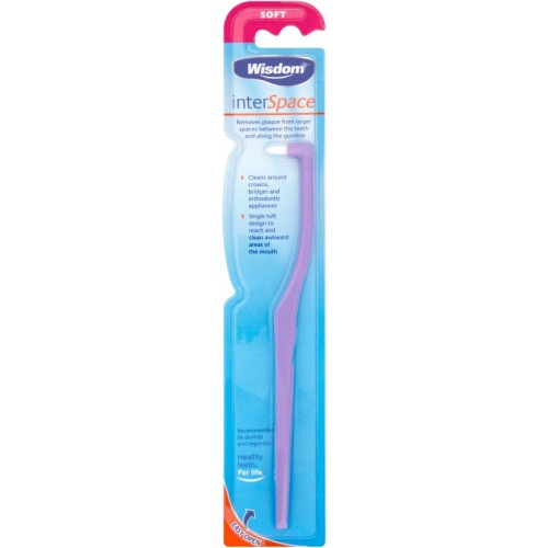 Wisdom InterSpace Standard Soft