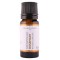 Natural Xtracts Pure Essential Oil 10ml Rosemary