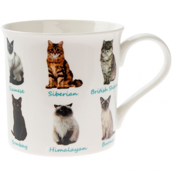 Mug Cats LP92873