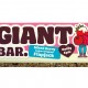 Ma Baker Giant Flapjack Bar Assorted 100g Yoghurt