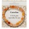 Semi Precious Jewellery Bracelet - Carnelian